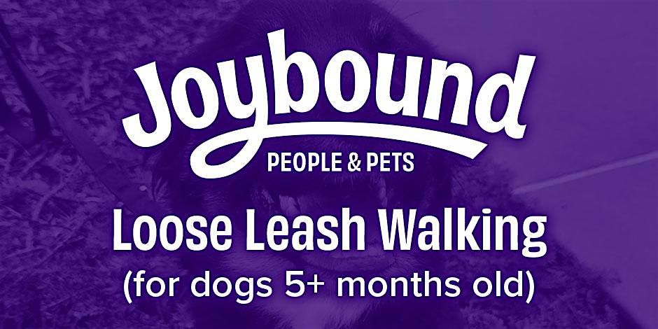 Dog Training - Loose Leash Walking Class with Emma