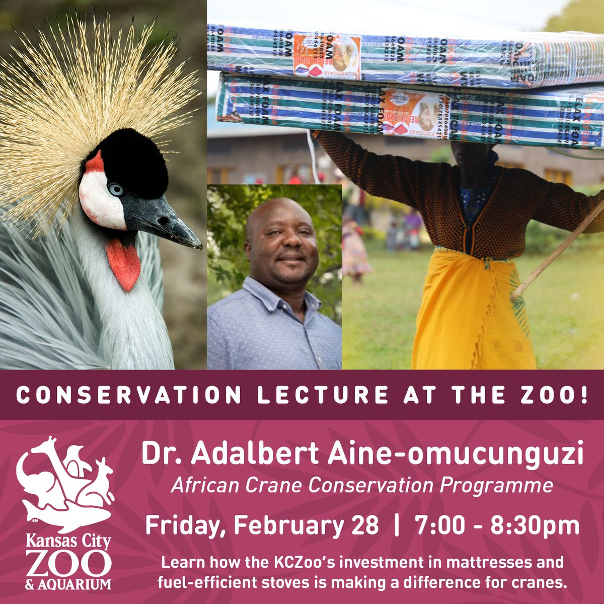 Conservation Lecture Series: African Crane Conservation Programme