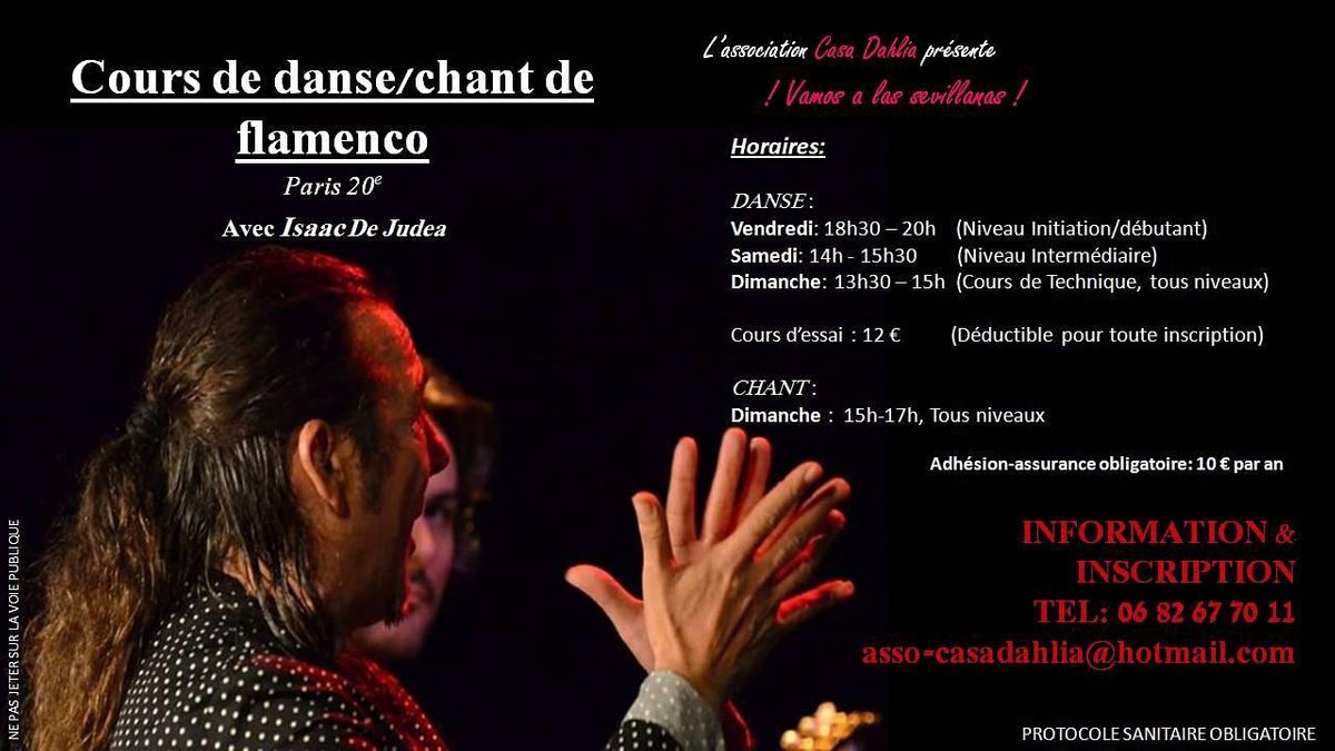 Cours de danse flamenco