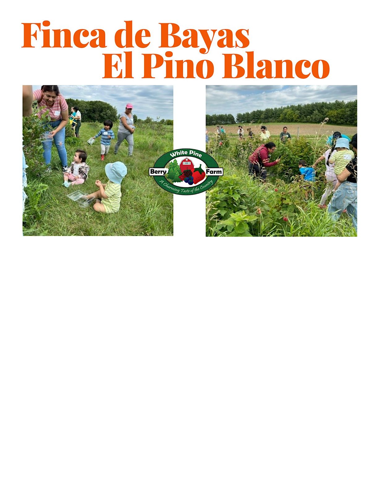 Finca de bayas El Pino Blanco | Julio