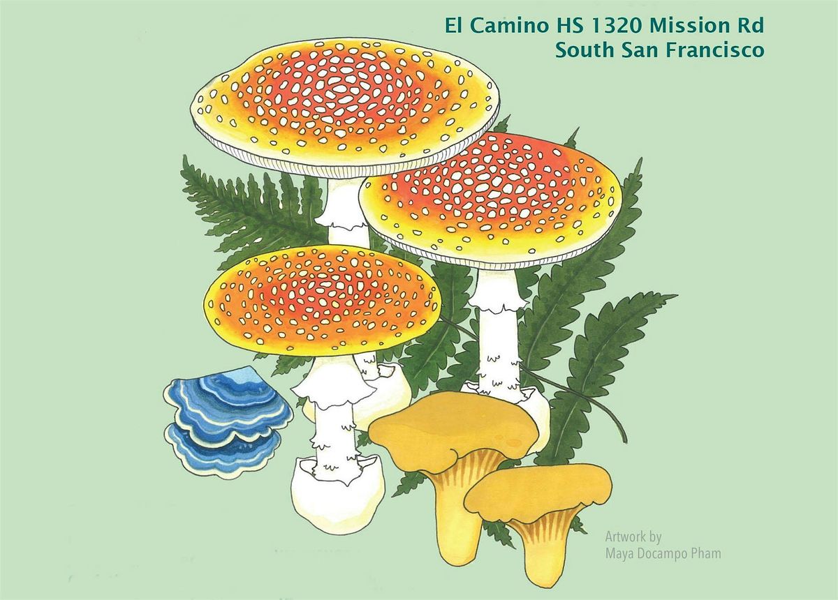 Mycological Society of San Francisco 52nd  Fungus Fair