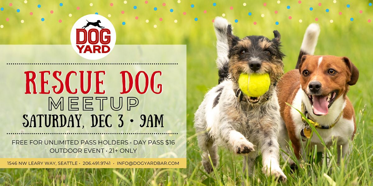 Rescue Dog Meetup at the Dog Yard Bar in Ballard - Saturday, December 3
