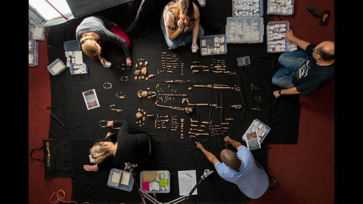 Lee Berger - Cave of Bones at Jack Singer Concert Hall at Arts Commons