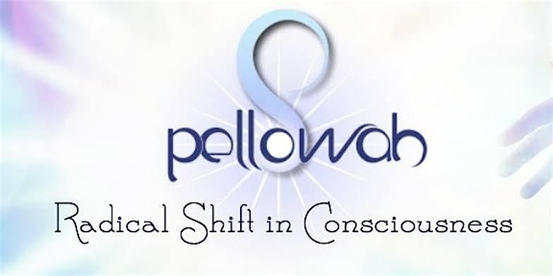 Pellowah level 1&2 practitioner course