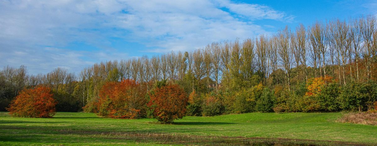 Kersal Bat Walk