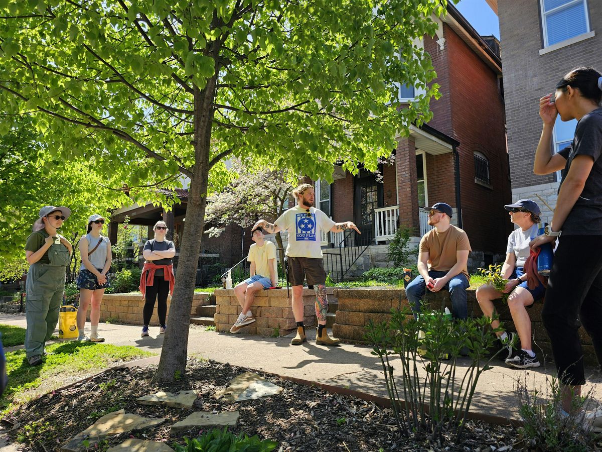 Shaw Neighborhood Tree Care Blitz