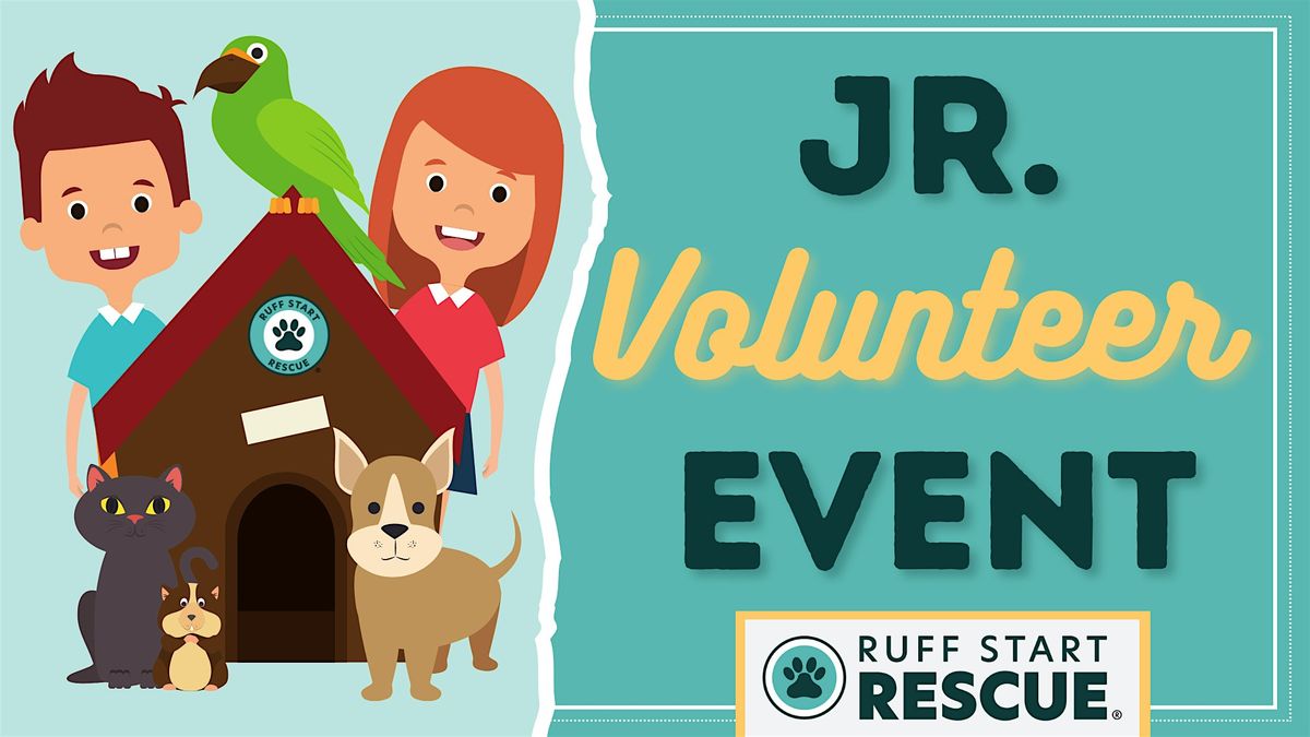 RSR Jr. Volunteer Fall Series: Seasonal Safety