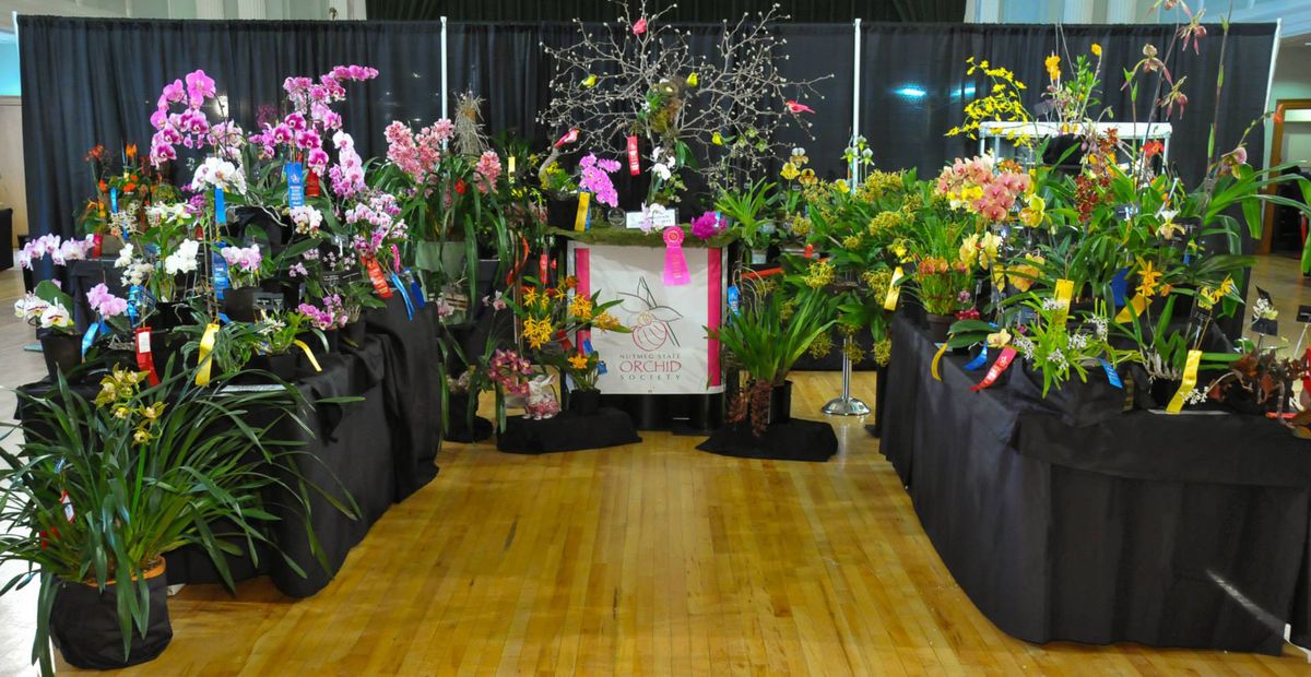 Nutmeg State Orchid Society Show & Sale