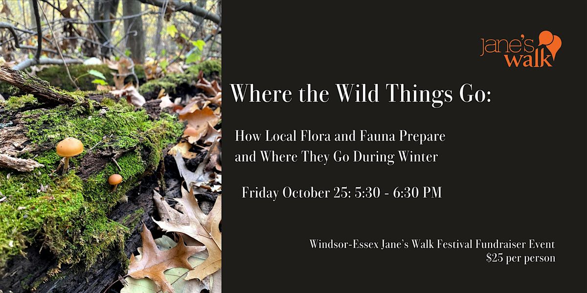 Where the Wild Things Go: How Local Flora and Fauna Prepare for Winter