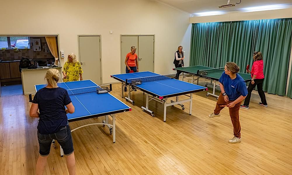 Women and Girls Beginner Table Tennis Coaching with Level 1 Coach