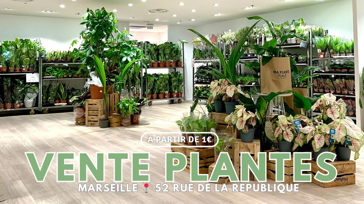 VENTE PLANTES MARSEILLE