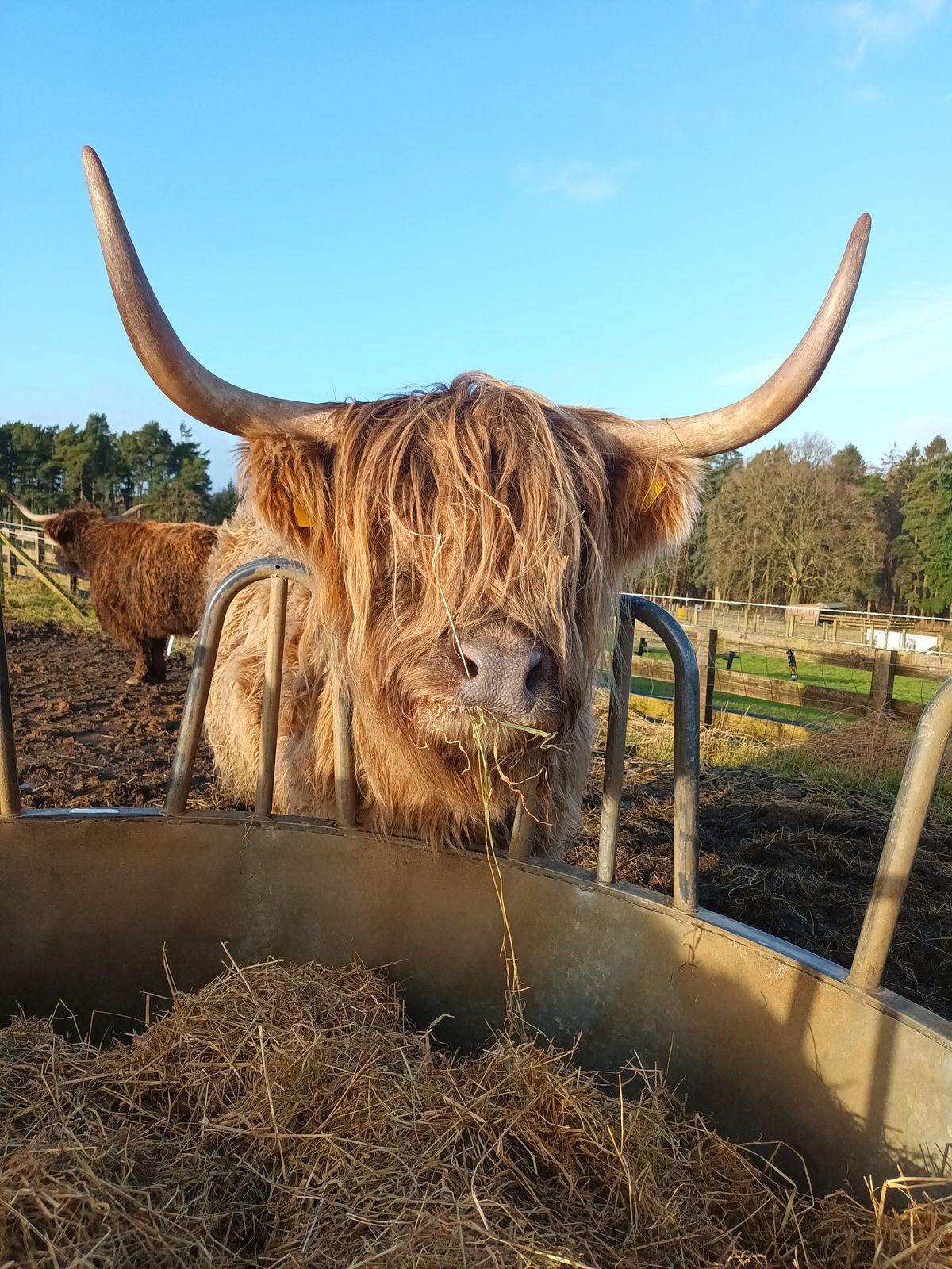 Farm Guided Walk