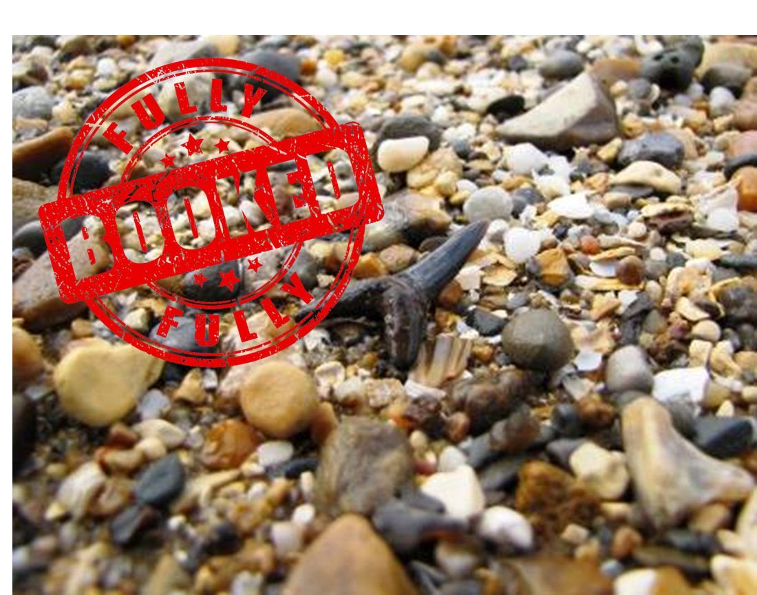 WALTON-ON-THE-NAZE FOSSIL HUNTING TRIP FULLY BOOKED