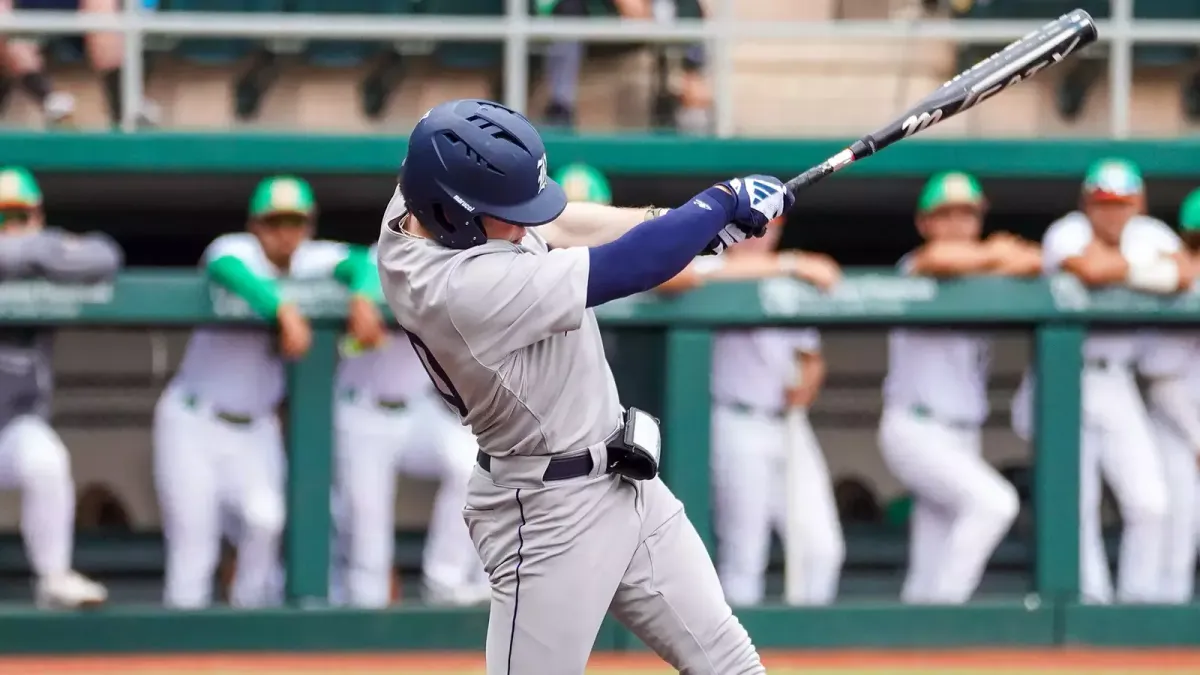 Houston Christian Huskies at Rice Owls Baseball