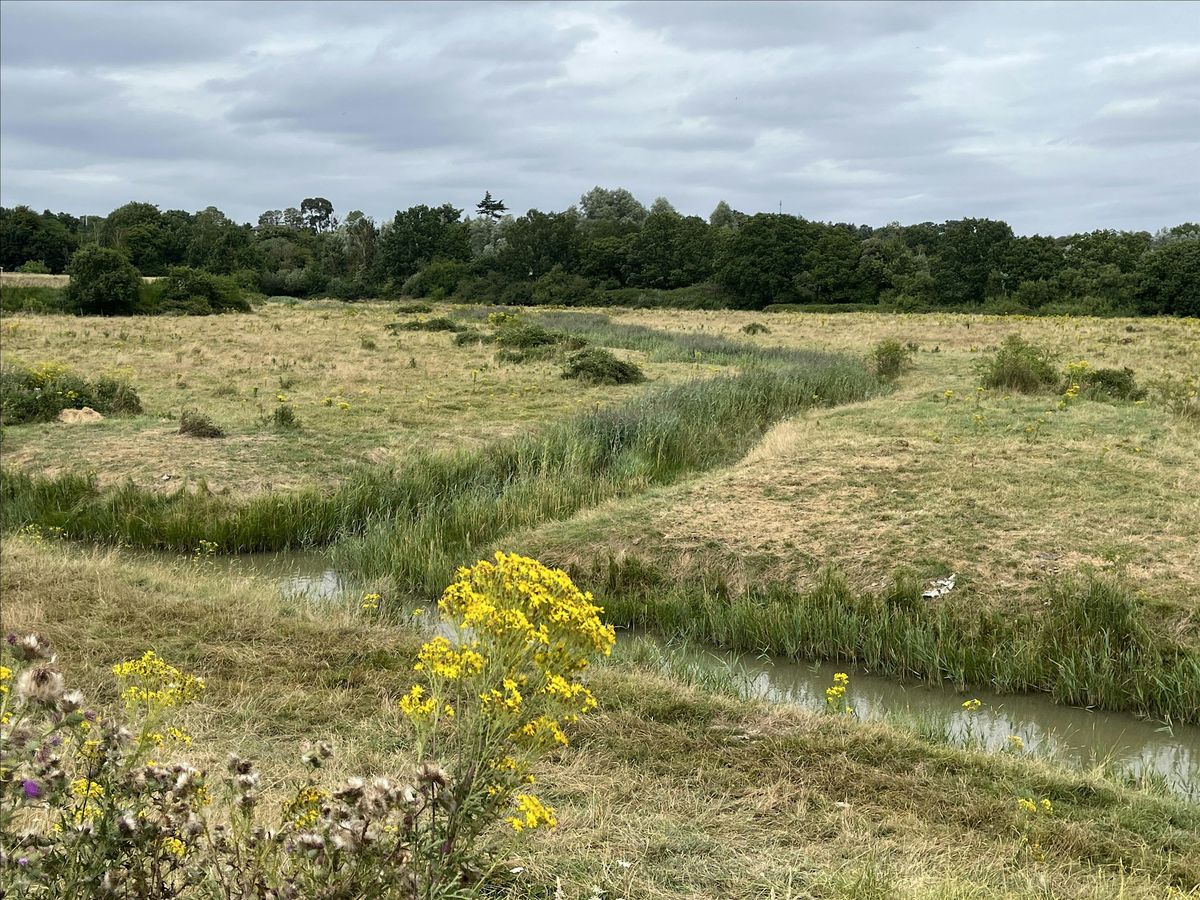 Essex Estuaries - The River Colne from Hythe to Wivenhoe