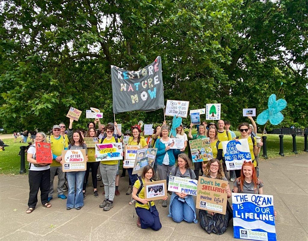 Wilder Community Campaigners: Campaigning Workshop