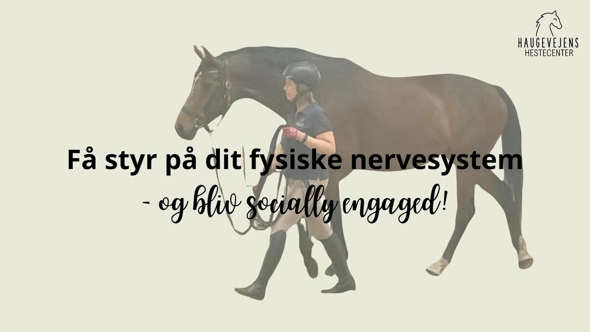 F\u00e5 styr p\u00e5 dit fysiske nervesystem - og bliv socially engaged