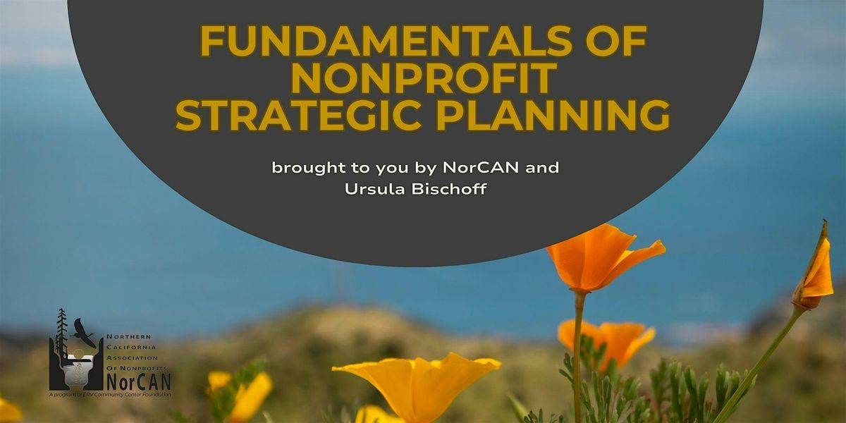 Fundamentals of Nonprofit Strategic Planning with Ursula Bischoff