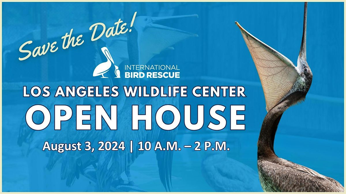 Open House: Los Angeles Wildlife Center: International Bird Rescue