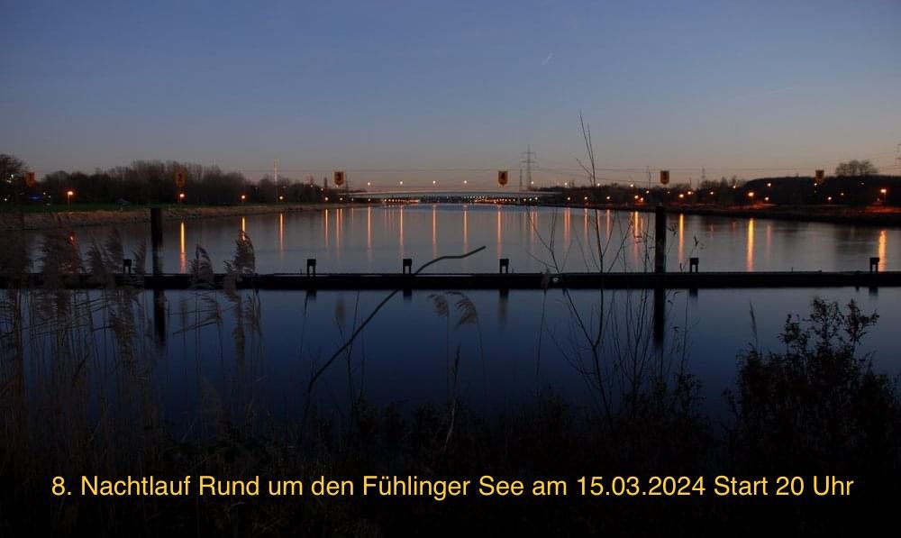 9. Nachtlauf Rund um den F\u00fchlinger See