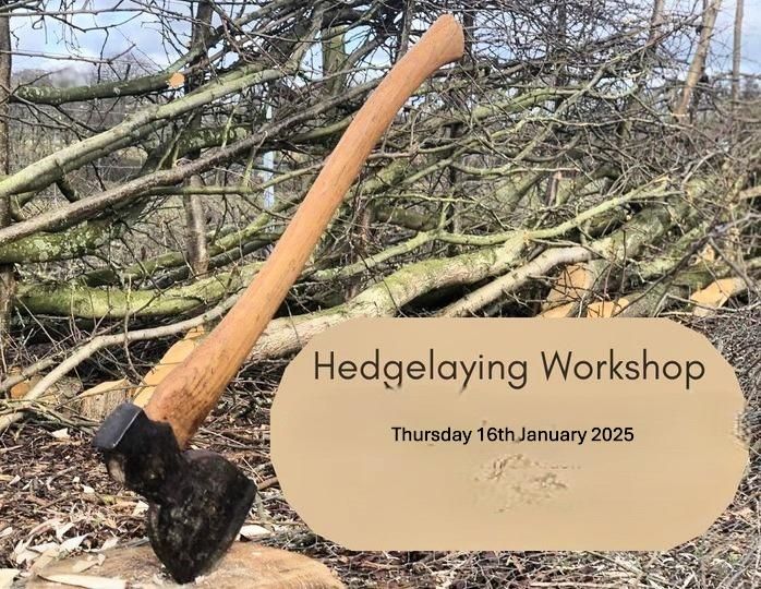 Hedgelaying Workshop