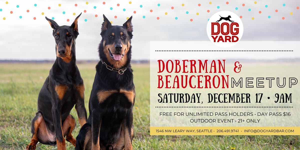 Doberman & Beauceron Meetup at Dog Yard Bar in Ballard - Saturday, Dec. 17