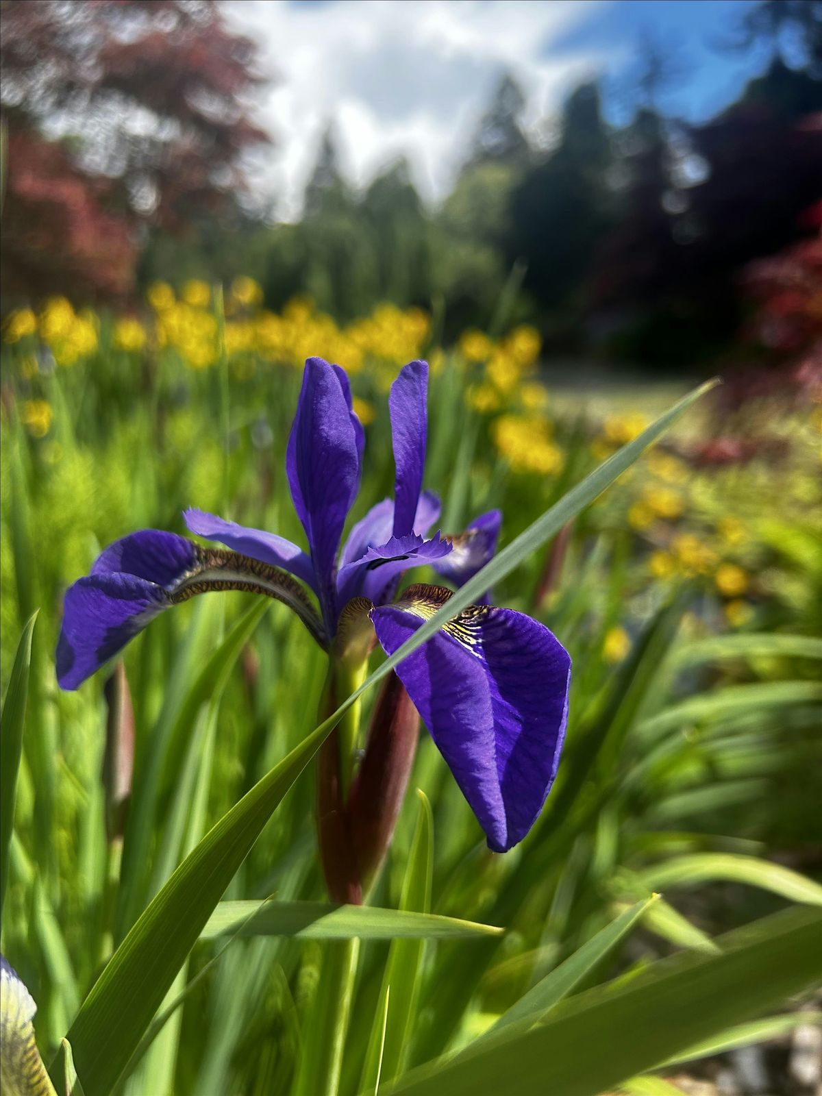 Connecting in Nature Summer Series:  Conversations around Aging for Women