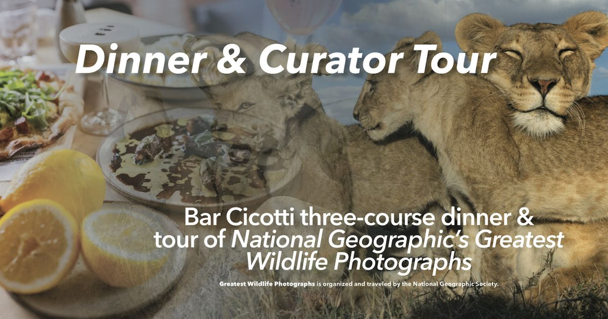 Dinner & Curator Tour of National Geographic\u2019s Greatest Wildlife Photos
