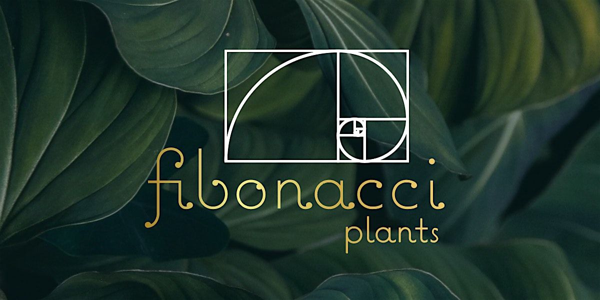 Fibonacci Plants Open House