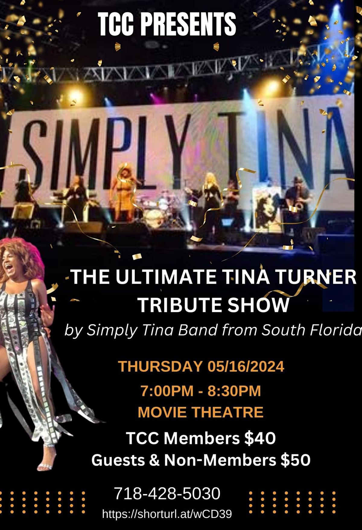 THE ULTIMATE TINA TURNER TRIBUTE SHOW by Simply Tina Band from South FL