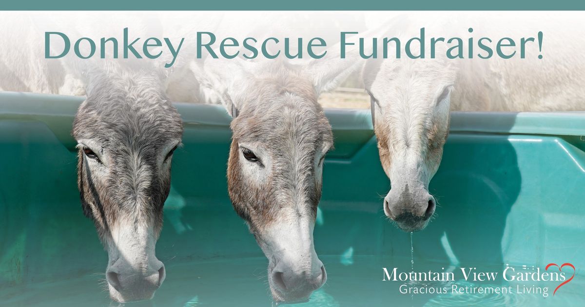 Donkey Rescue Fundraiser!