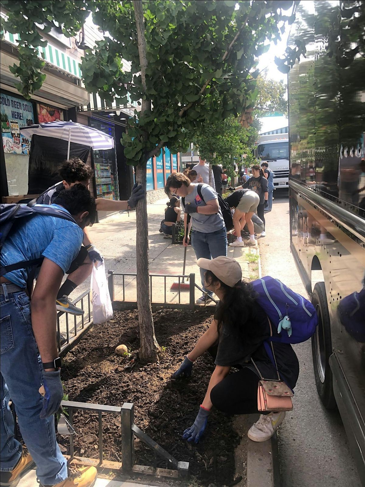 Street Tree Care with LIC Partnership