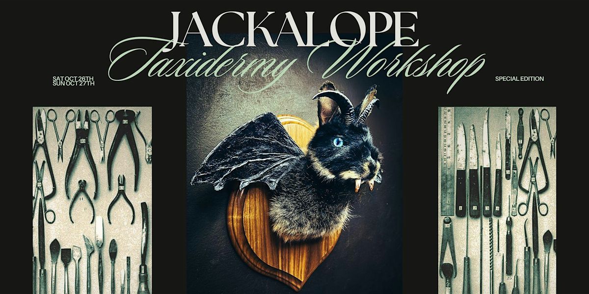 Special Edition: Jackalope Taxidermy Workshop