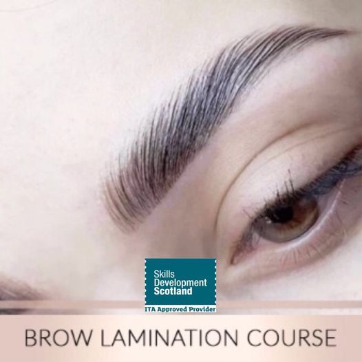 NEW! Brow Lamination Course