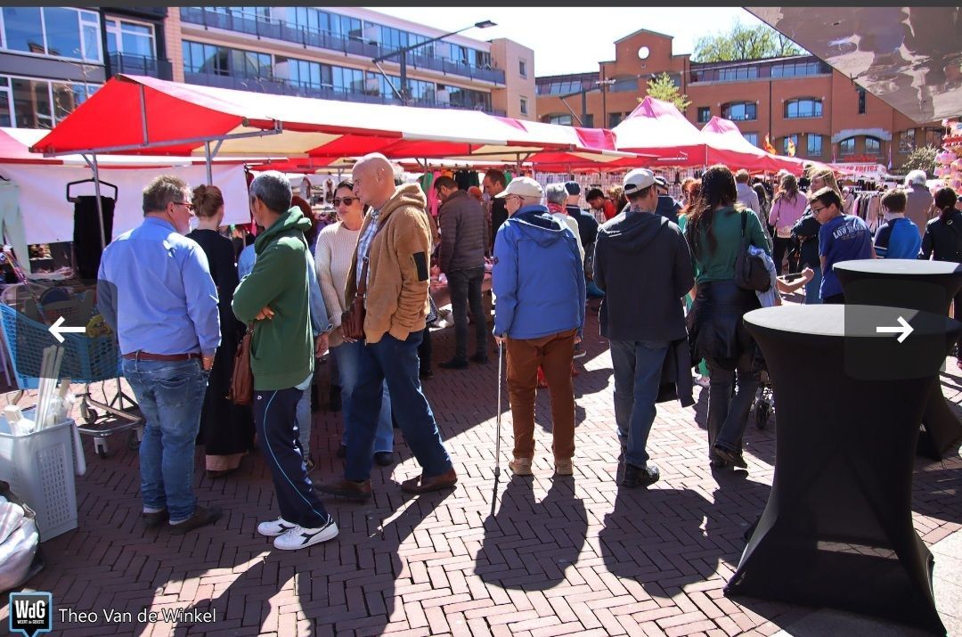 snuffelmarkt wilhelminaplein in best