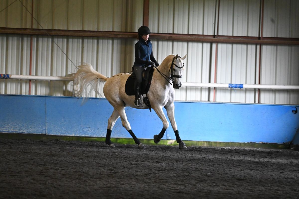 Improved Saddle Fit = Improved Movements = Improved Scores