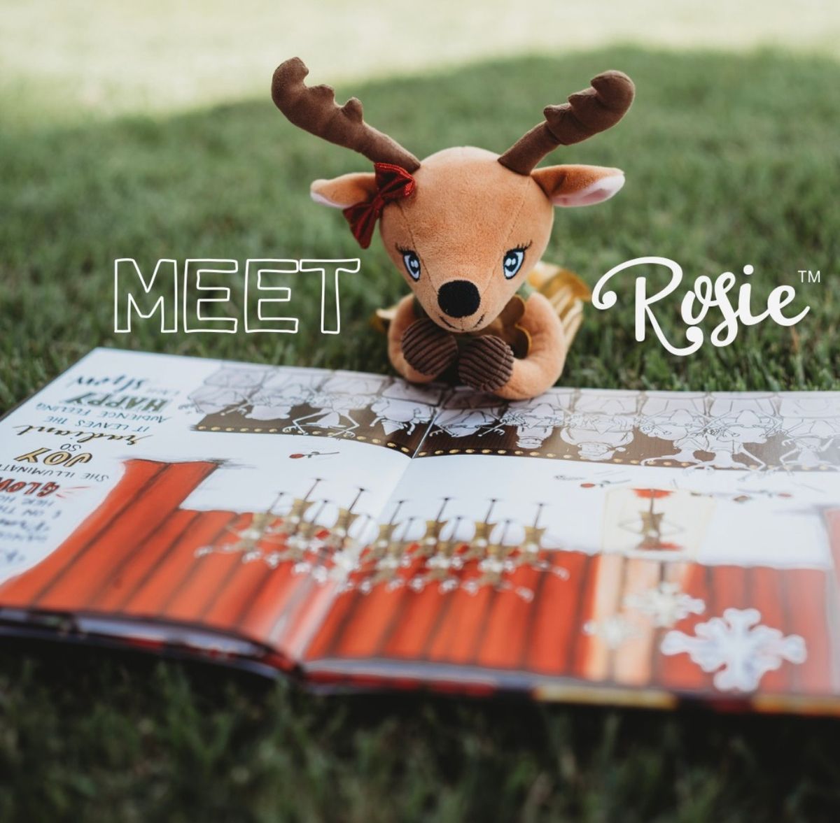 Meet & greet\/ live reading with Rosie the Reindeer!\u2728\u2728