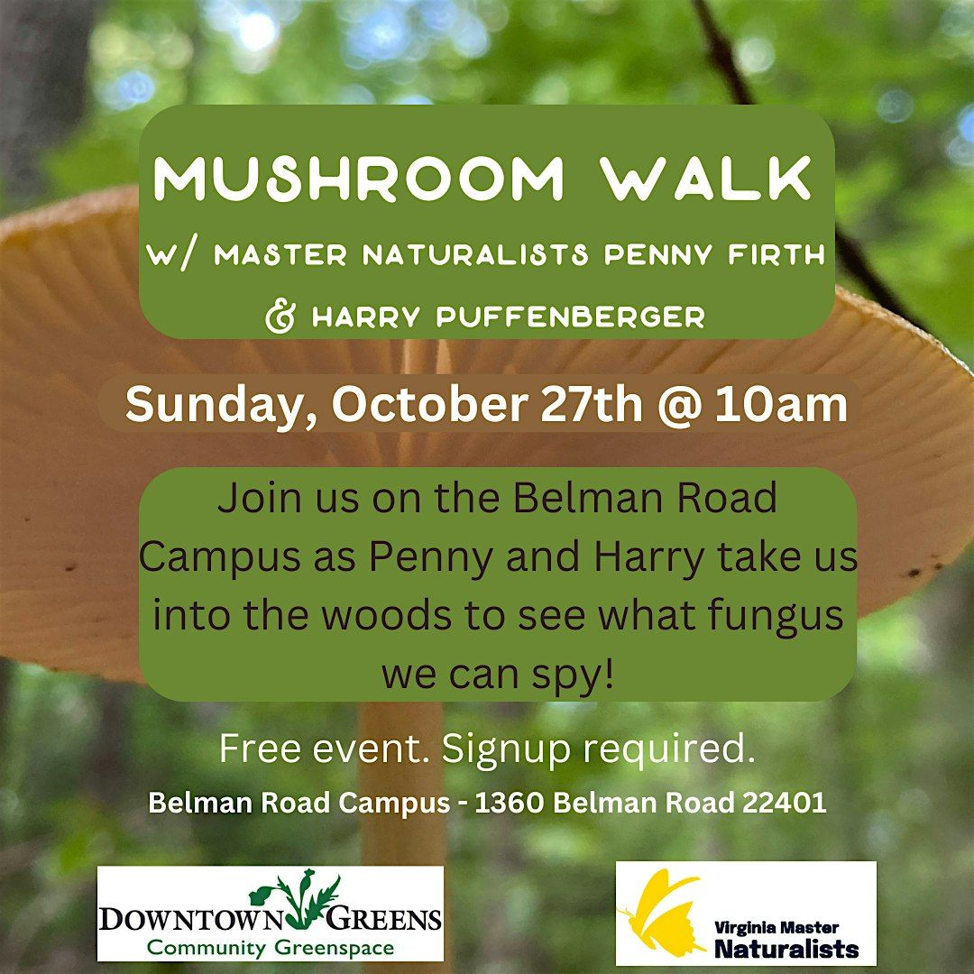 October Mushroom Walk