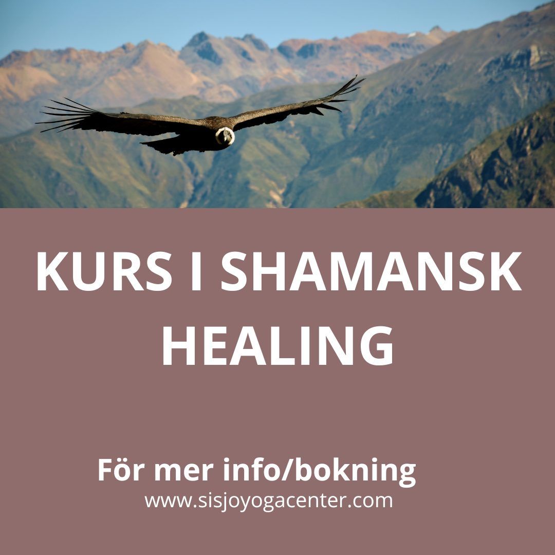 Kurs i shamansk healing