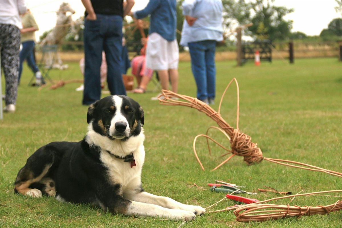 Beginner's Willow Weaving Workshop - Sunday 12th July 2026
