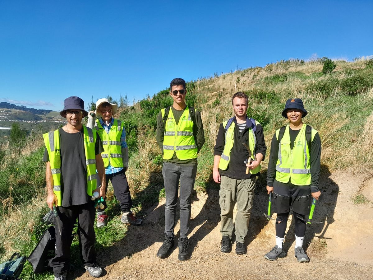 Tree Rescue Restoration across Wellington