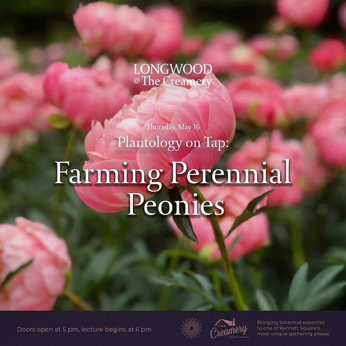 Longwood at The Creamery - Plantology on Tap - Farming Perennial Peonies