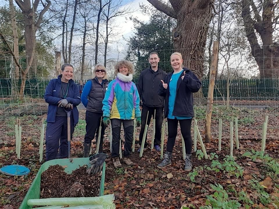 Tree Planting in Reigate