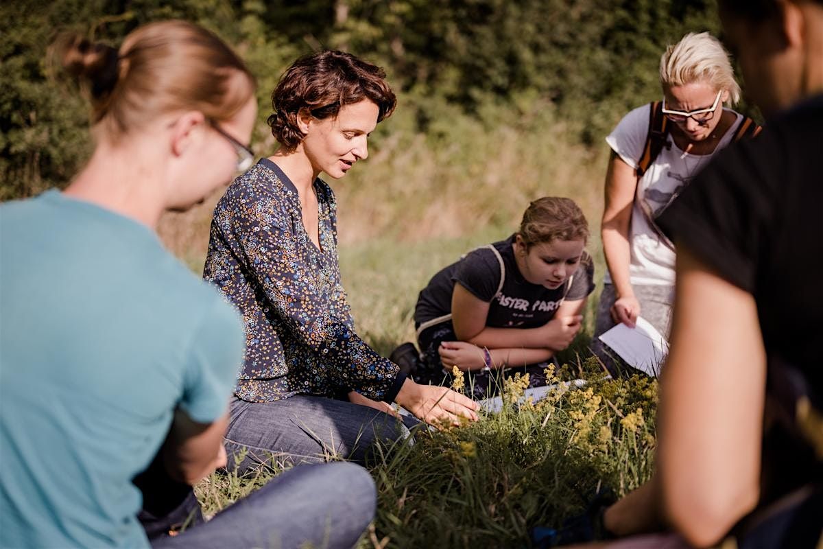 Kr\u00e4uterwanderung in Wien "Kr\u00e4uterwurzeln & Fr\u00fcchte"