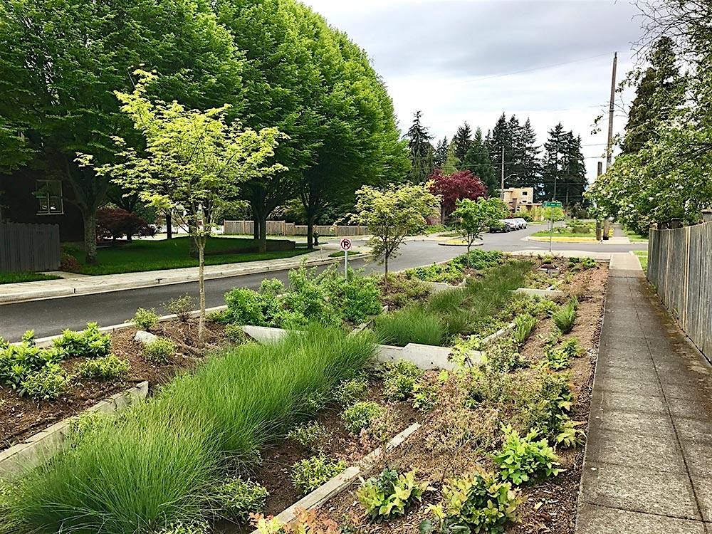 Green Stormwater Infrastructure for Low-Income Housing - Focus Group