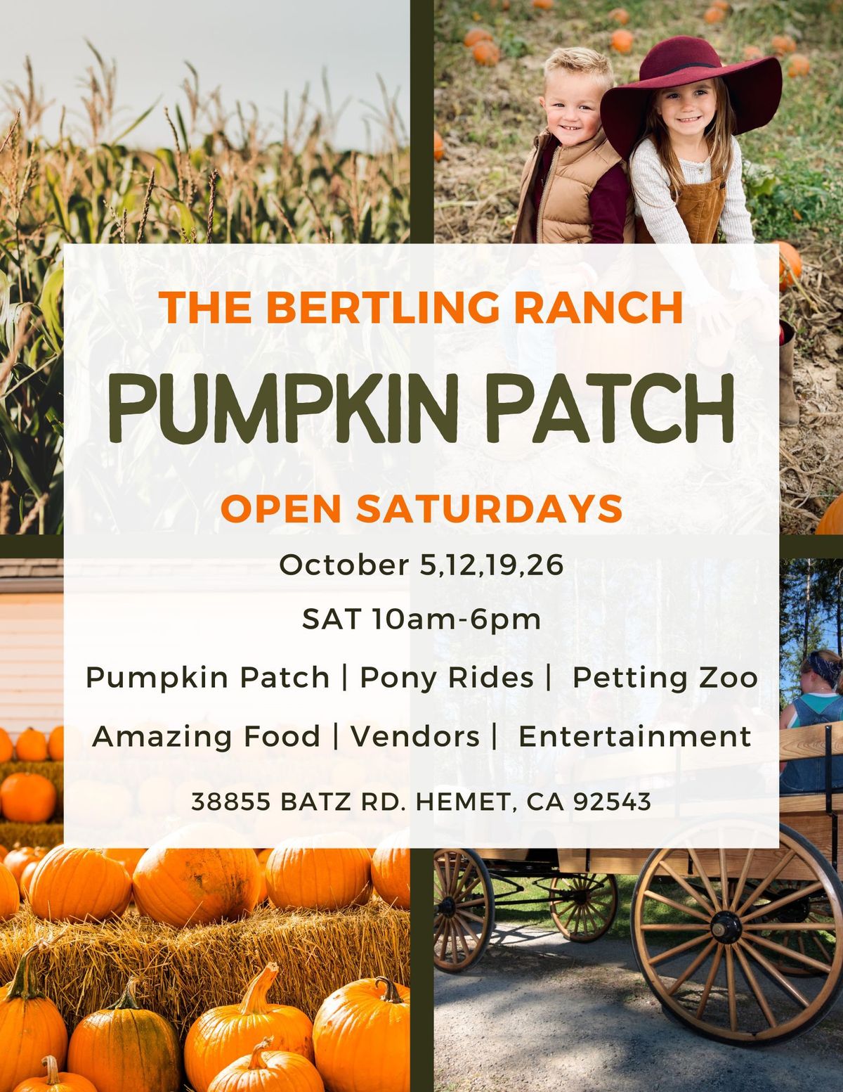 The Bertling Ranch Pumpkin Patch