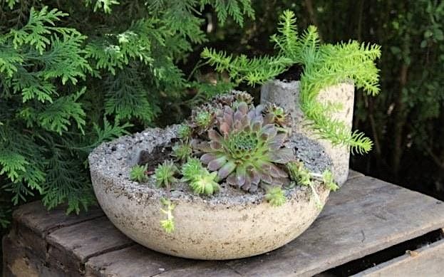 Hypertufa Planter Workshop