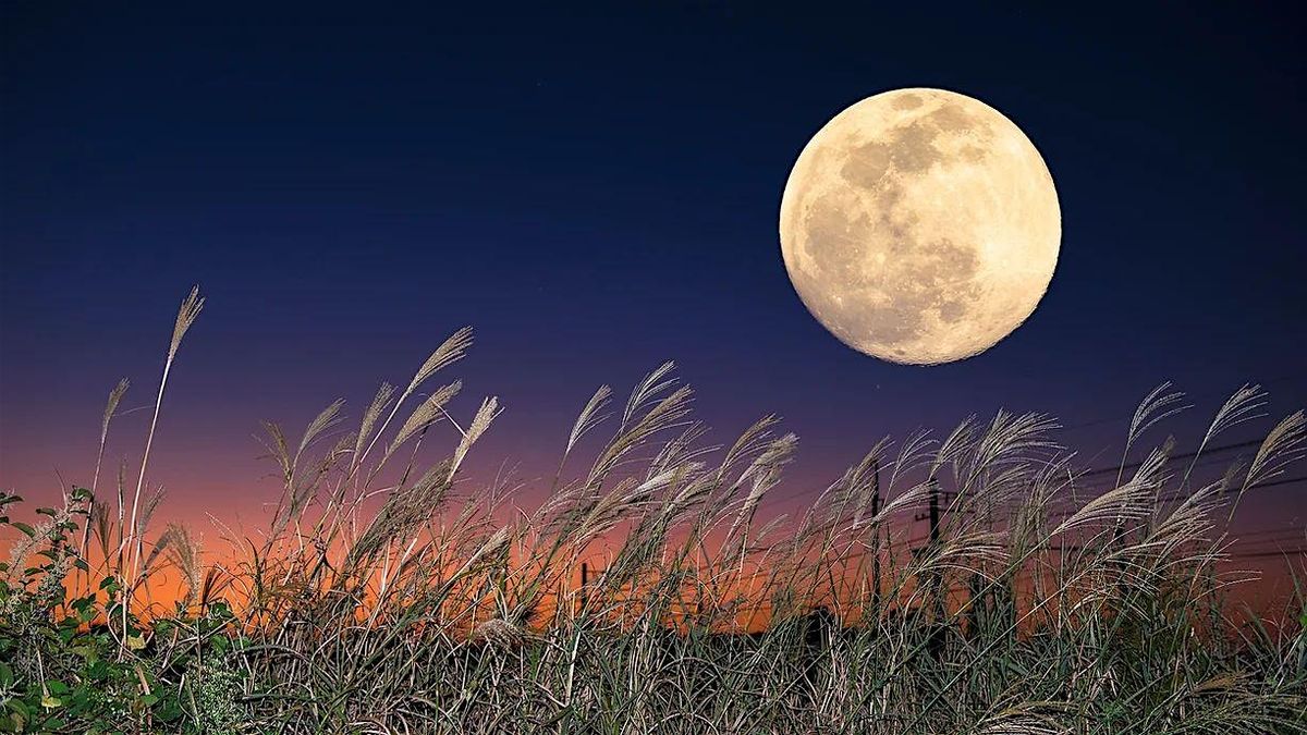 Harvest Full Moon Flora Colored Crystal Bowl Journey Zoom