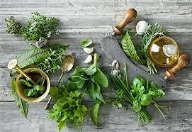 Basic Herbal Education Class - Staying Well Through the Holidays