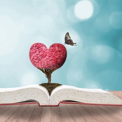 Swedenborg Open Learning Centre - SOLCe